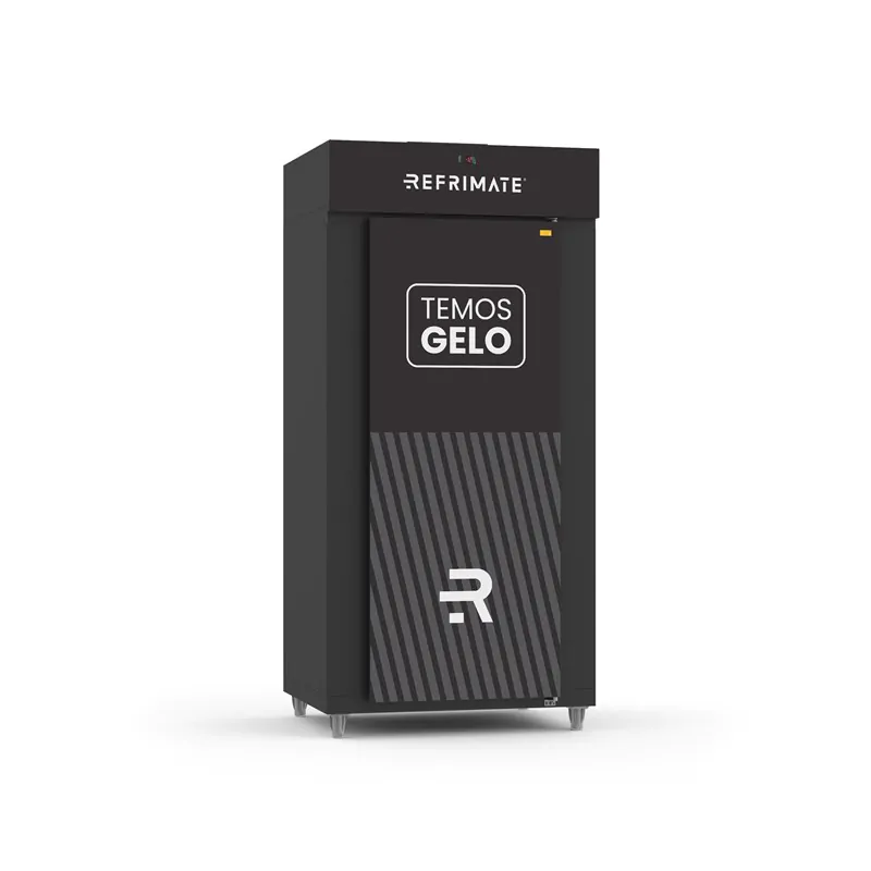 MINI CÂMARA GELO 1100L