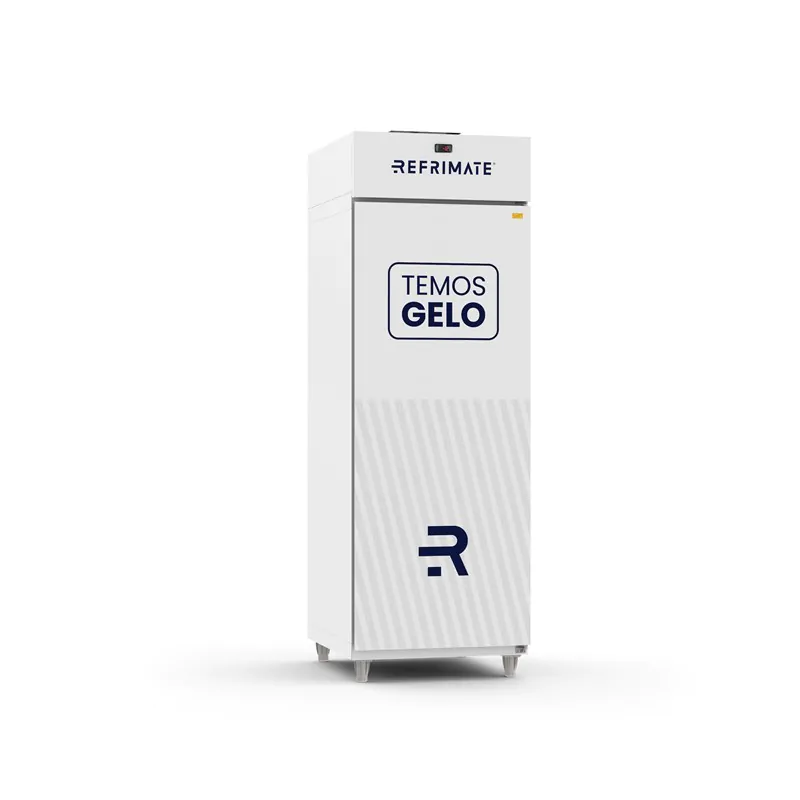 MINI CÂMARA GELO 700 LITROS