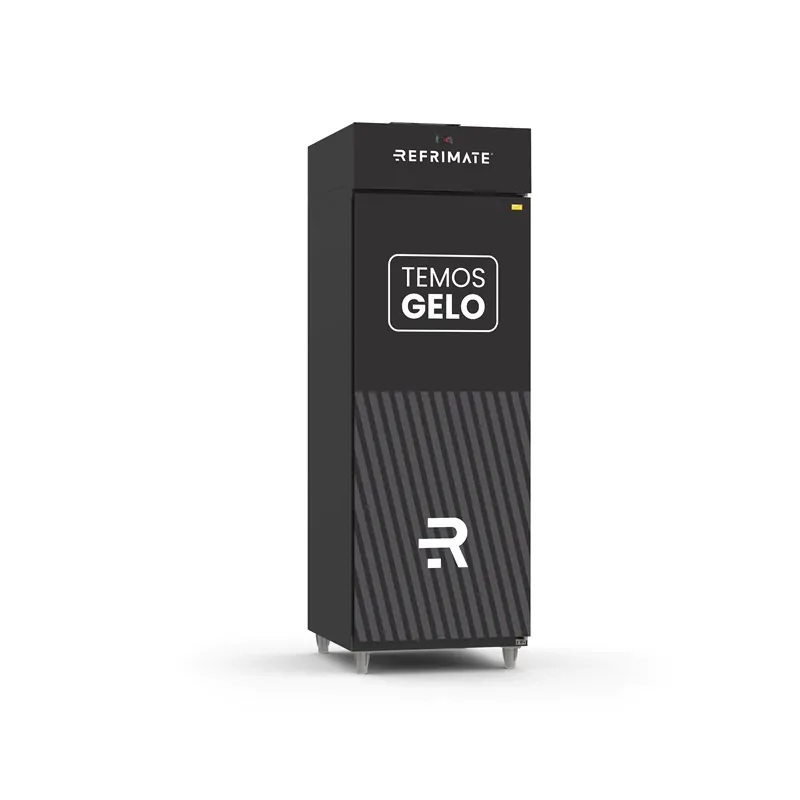 MINI CÂMARA GELO 700 LITROS - Imagem 3